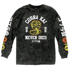 Long Sleeve Cobra Kai Never Dies Kanji With Icons Mineral Wash Long Sleeve Cobra Kai TV